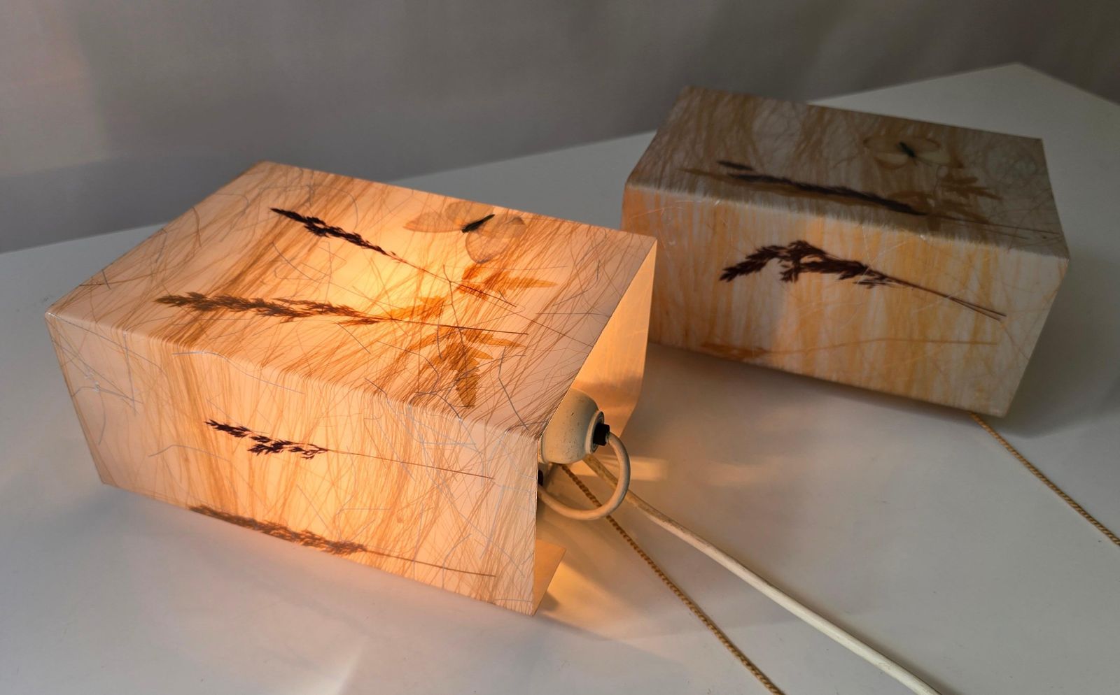 Pair Of 1970s Resin Wall Lamps With Botanical And Butterfly Inclusions photo for sale