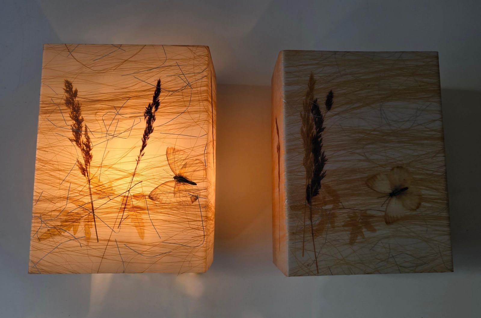 Pair Of 1970s Resin Wall Lamps With Botanical And Butterfly Inclusions photo vintage