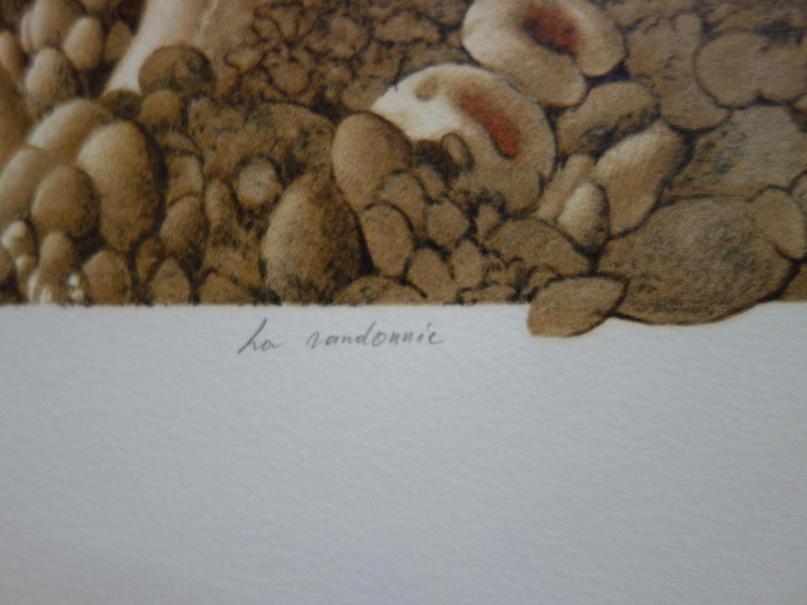 Roland Catbicycles And Mushrooms   Original Handsigned Lithograph1985 photo vinterior