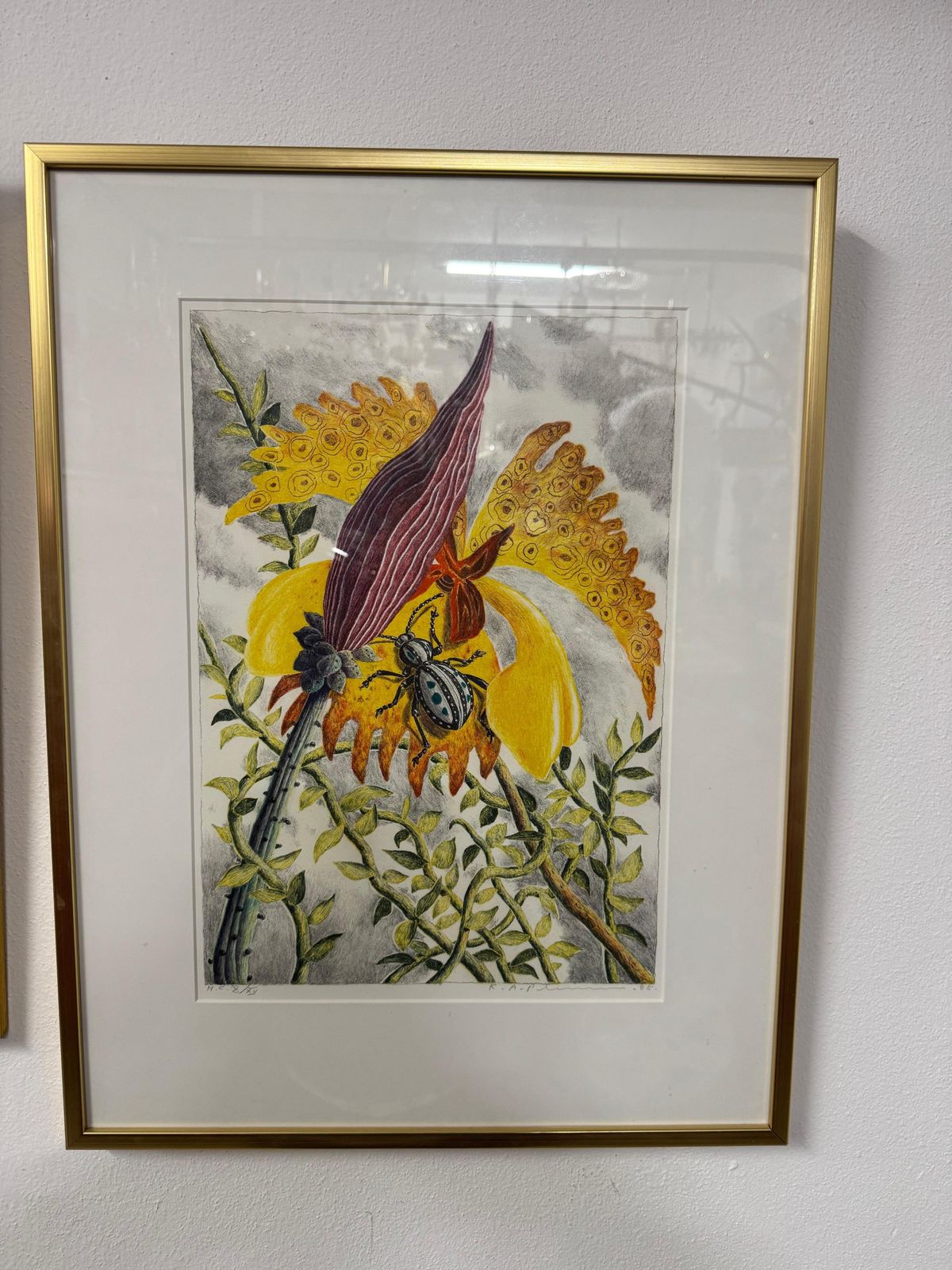 Karl Axel Pehrson Exotic Plants Kleurenlitho photo furniture
