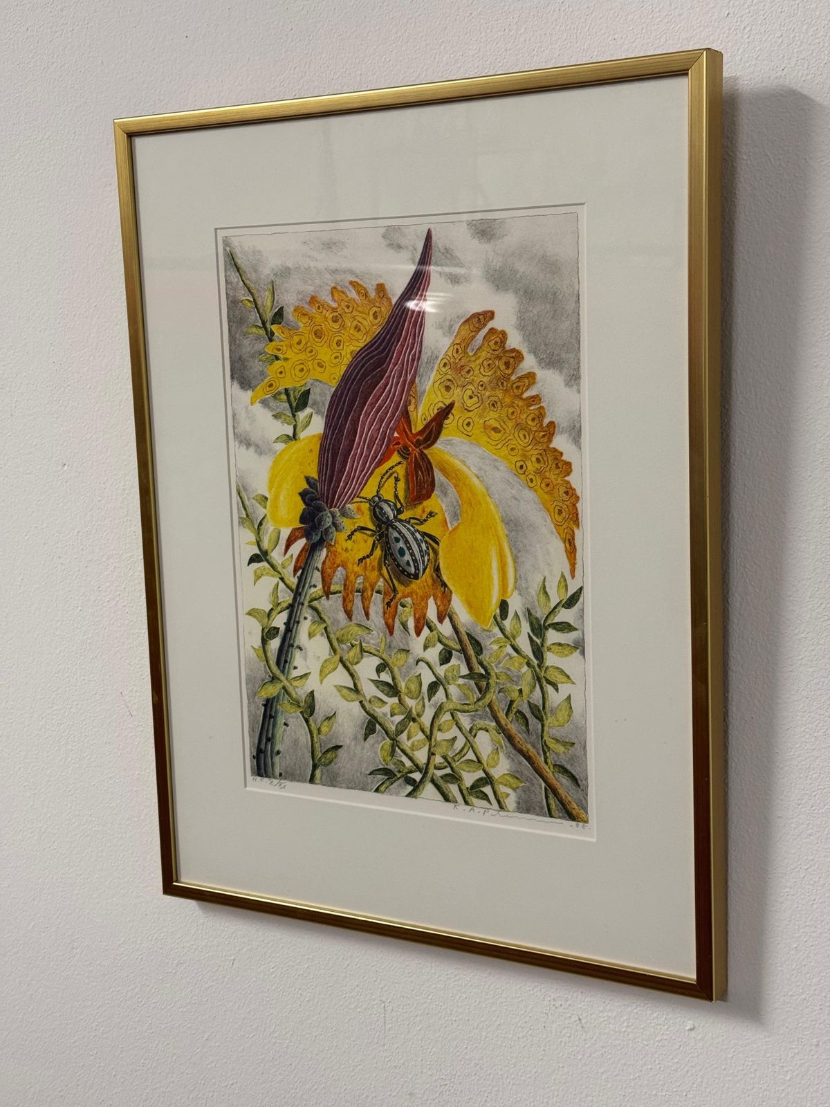 Karl Axel Pehrson Exotic Plants Color Lithograph photo for sale