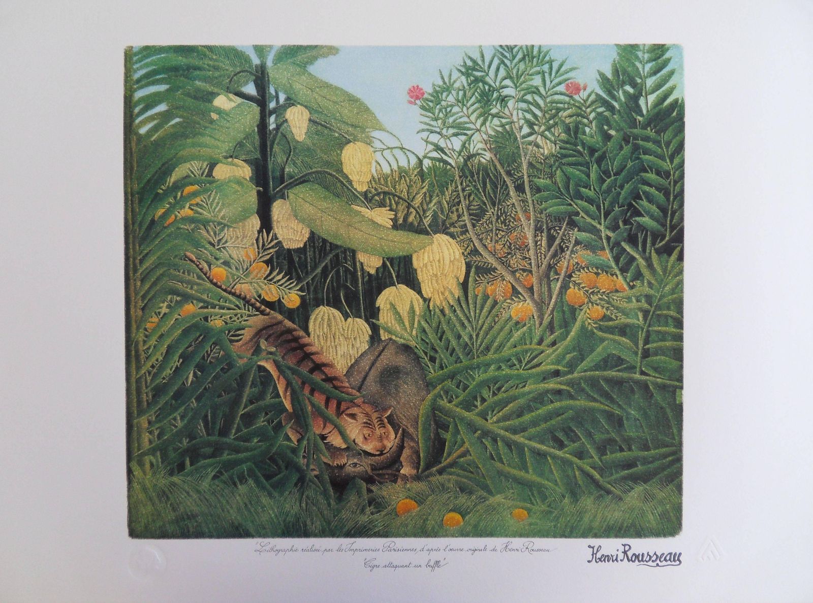 Fight Between A Tiger And A Buffalo   Lithograph   Limited /300ex1976