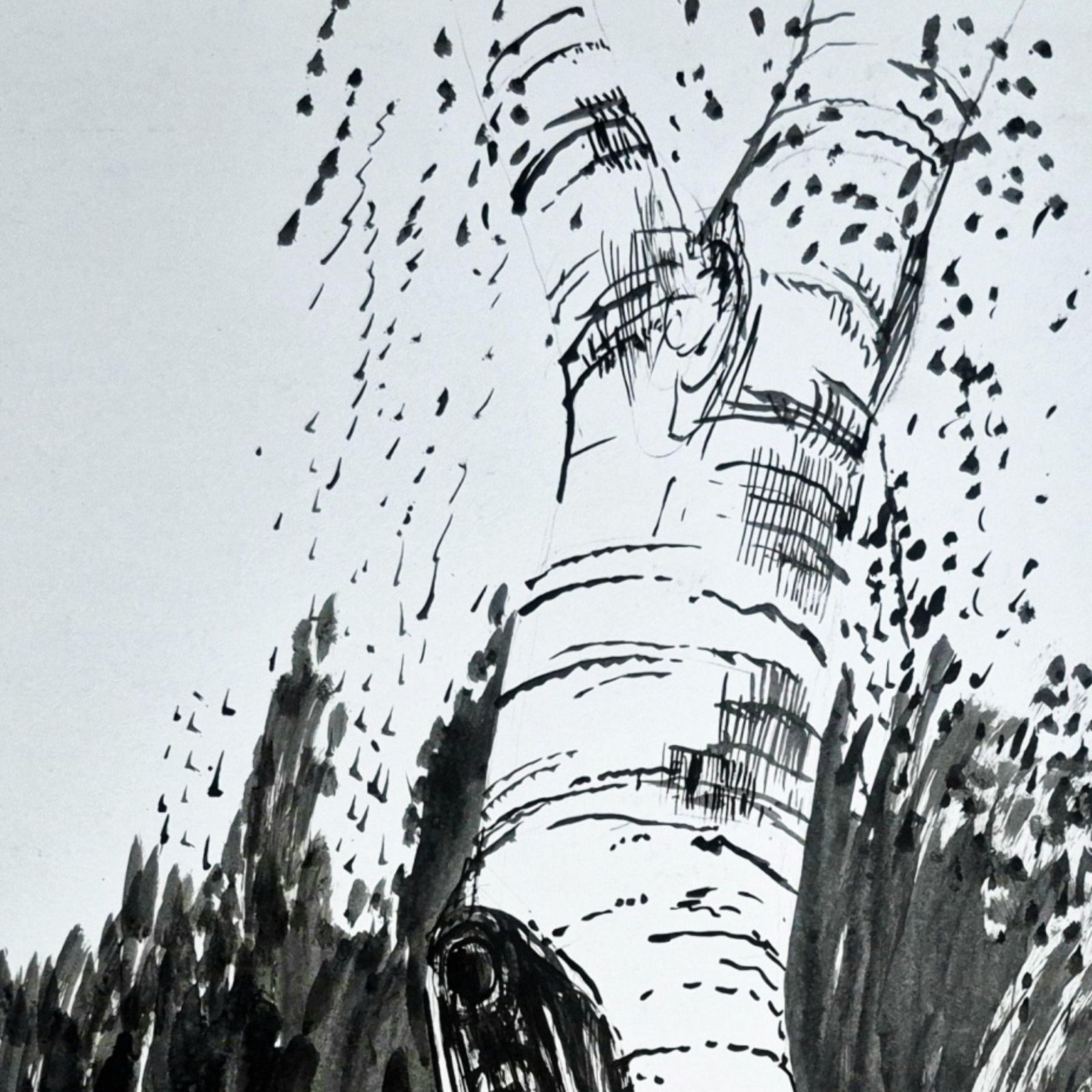 Konrad Kucza Kuczynskitrees  Trees Die Standing, Ink On Paper, Polish Artist, Black And White1999 photo 512.0