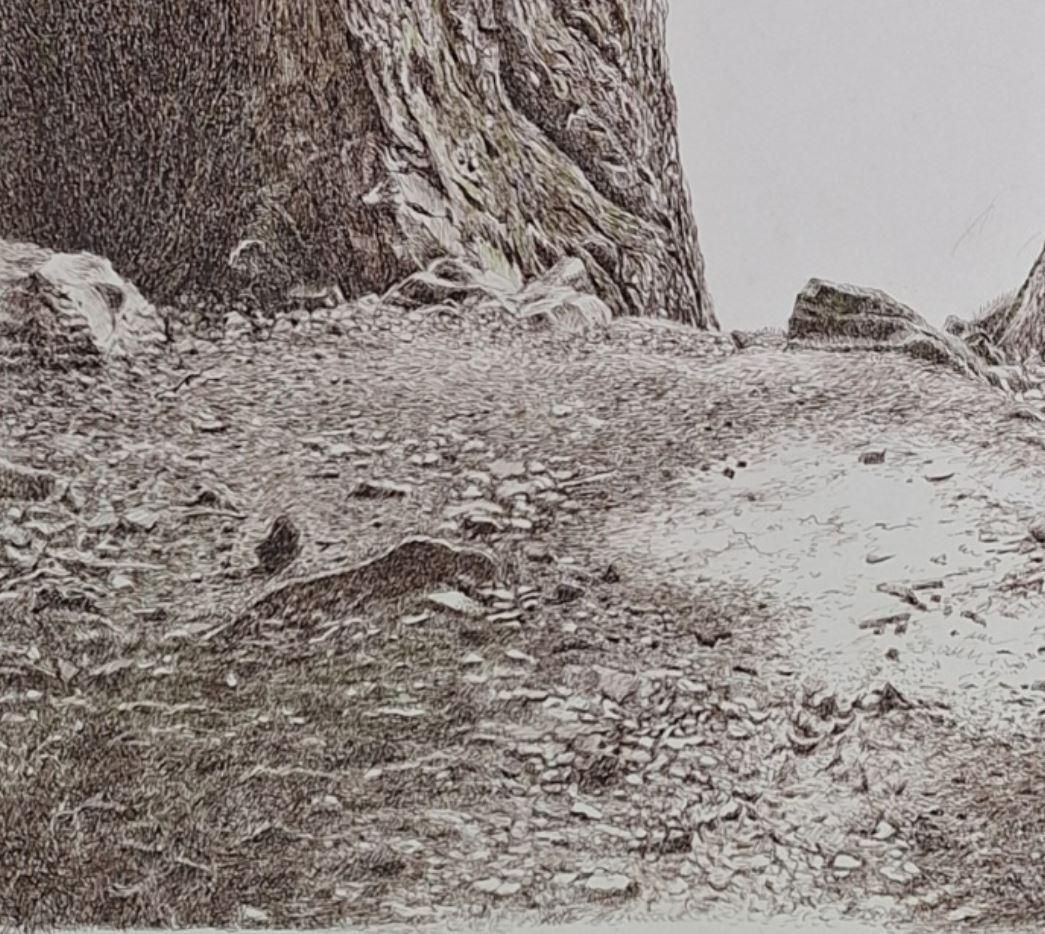 Elżbieta Siegoczyńskaravine. Figurative Drawing, Landscape, Realistic, Polish Artist2025 photo Art