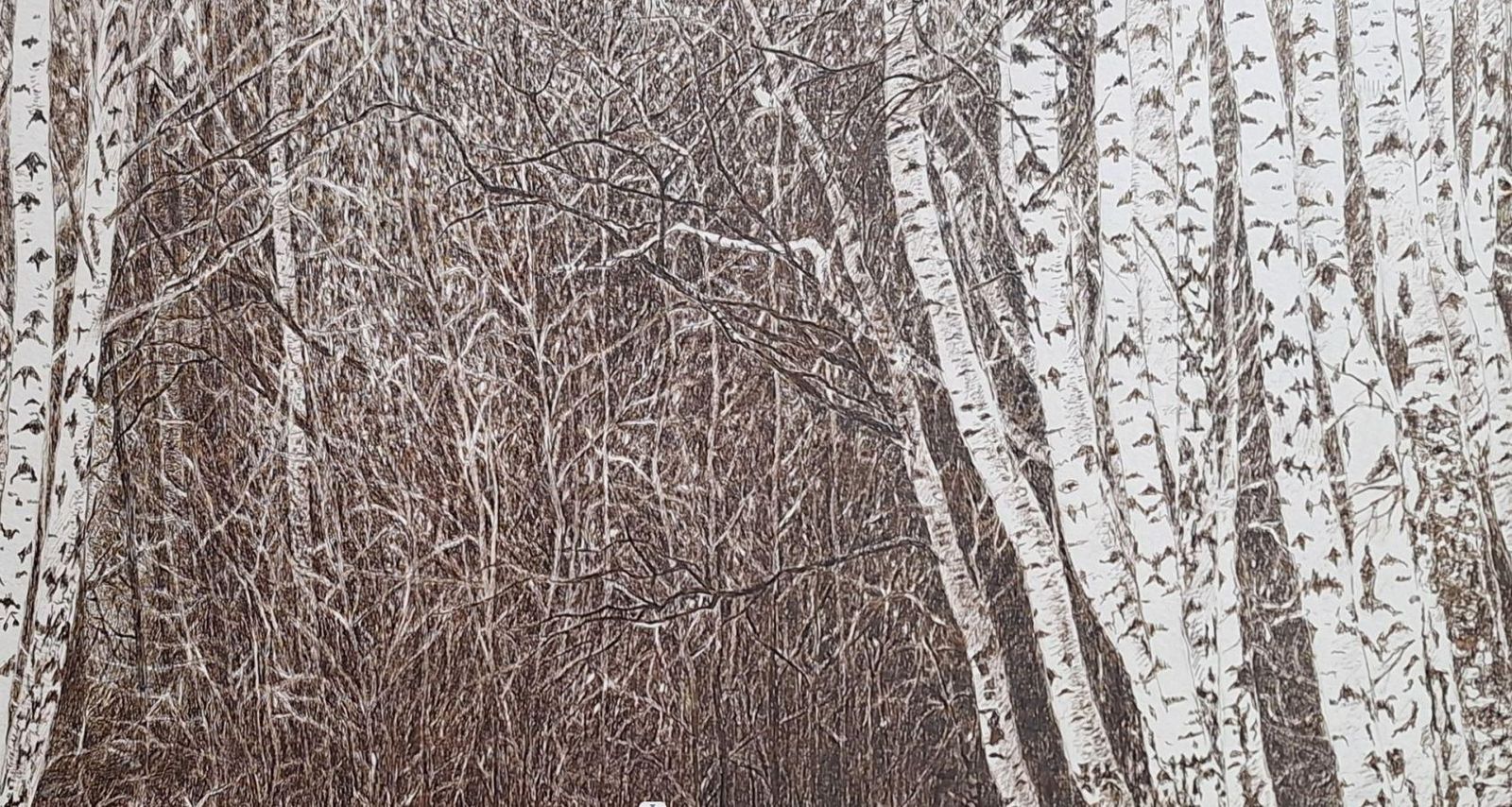 Elżbieta Siegoczyńskakabacki Forest. Figurative Drawing, Landscape, Realistic, Polish Artist2025 photo for sale