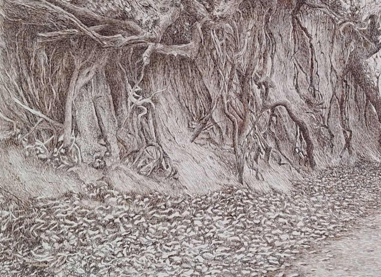Elżbieta Siegoczyńskawąwóz Korzeniowy. Figurative Drawing, Landscape, Realistic, Polish Artist2025 photo Art