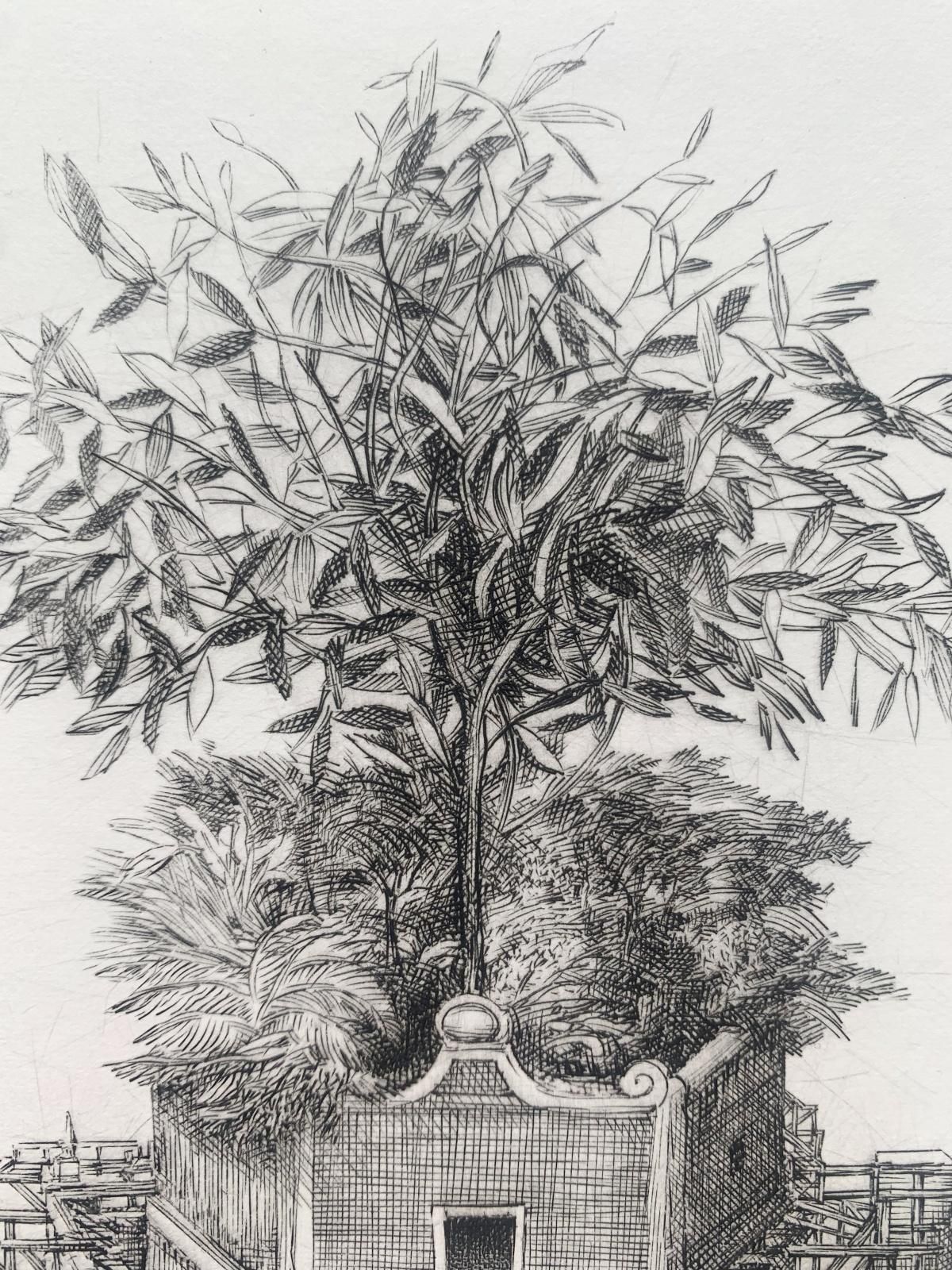 Krzysztof Skorczewski Olea European, Figurative Copperplate Print, Olive Tree   Peace, Polish Artist 2022 photo Art