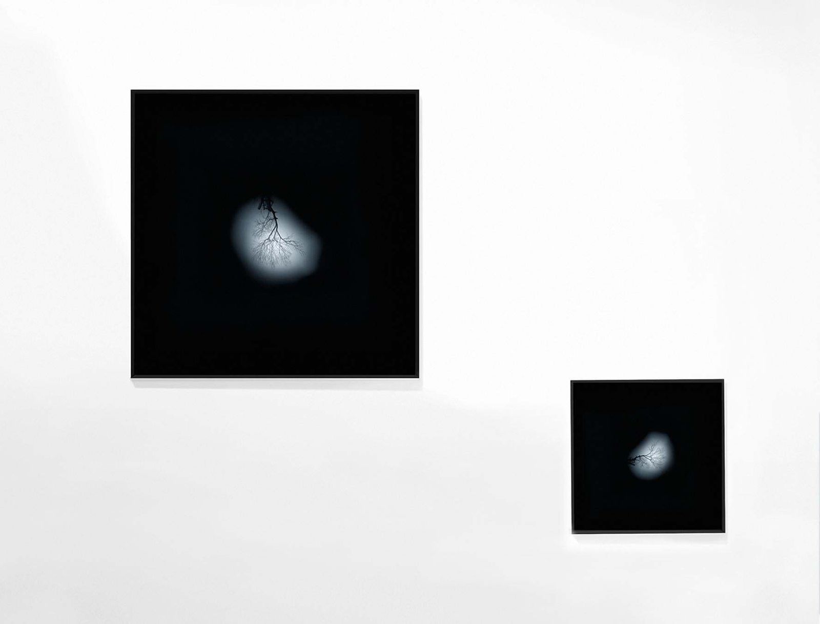Andrea Santarlasci Reverse Of The Sky 2002 photo buy