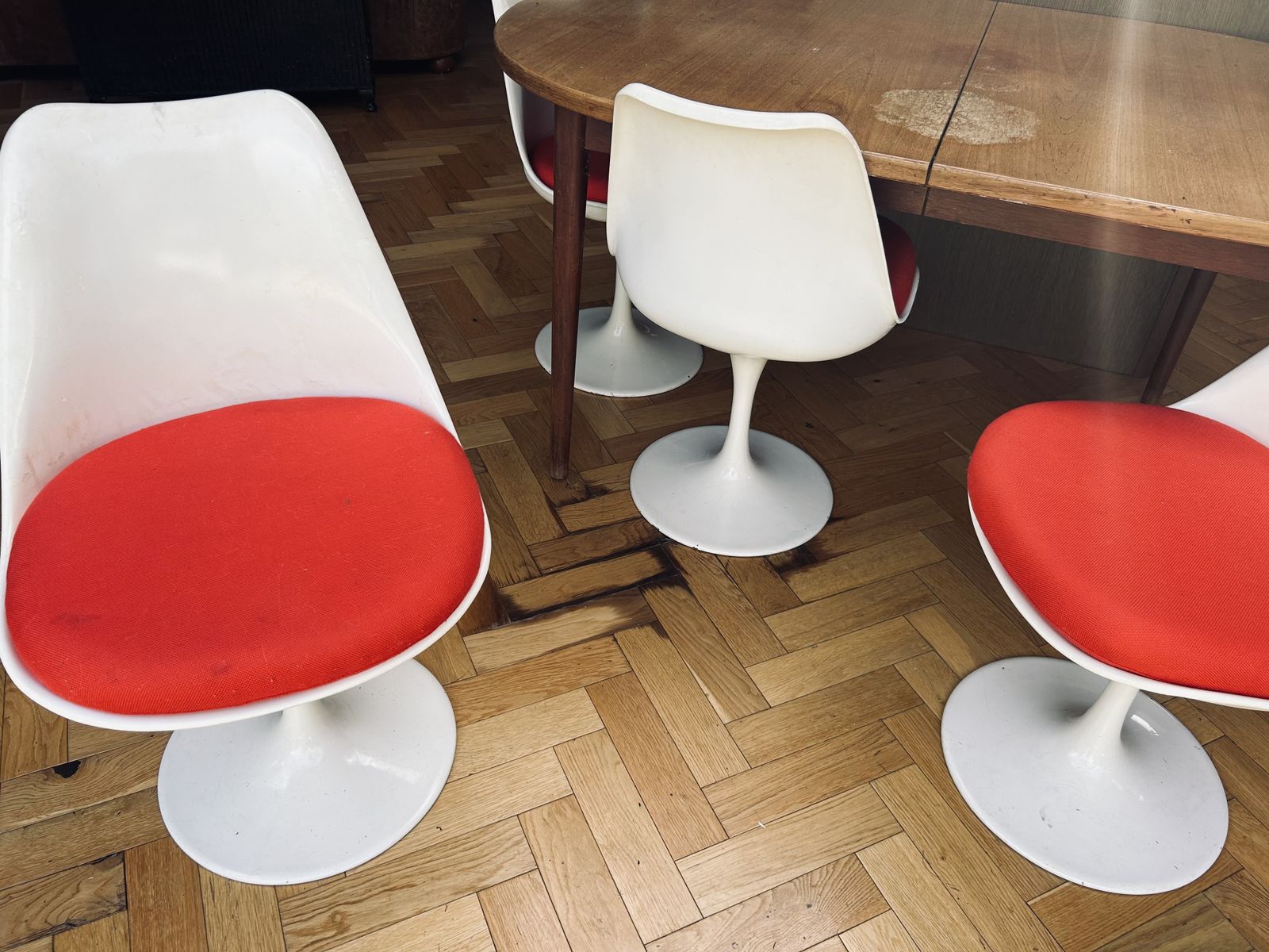 Rudi Bonzanini Tulip Dining Chairs   8 Available With Markers Mark photo furniture