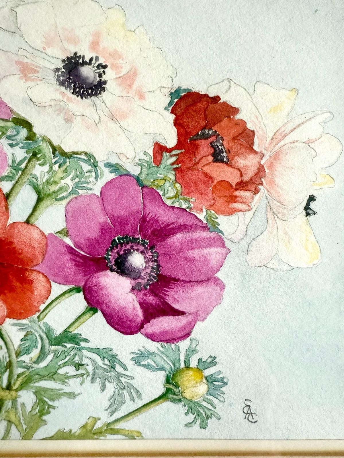 Original Signed Watercolour Painting Representing Poppy Flowers Bouquet Wall Hanging Monogrammed Framed Art Gouache photo for sale