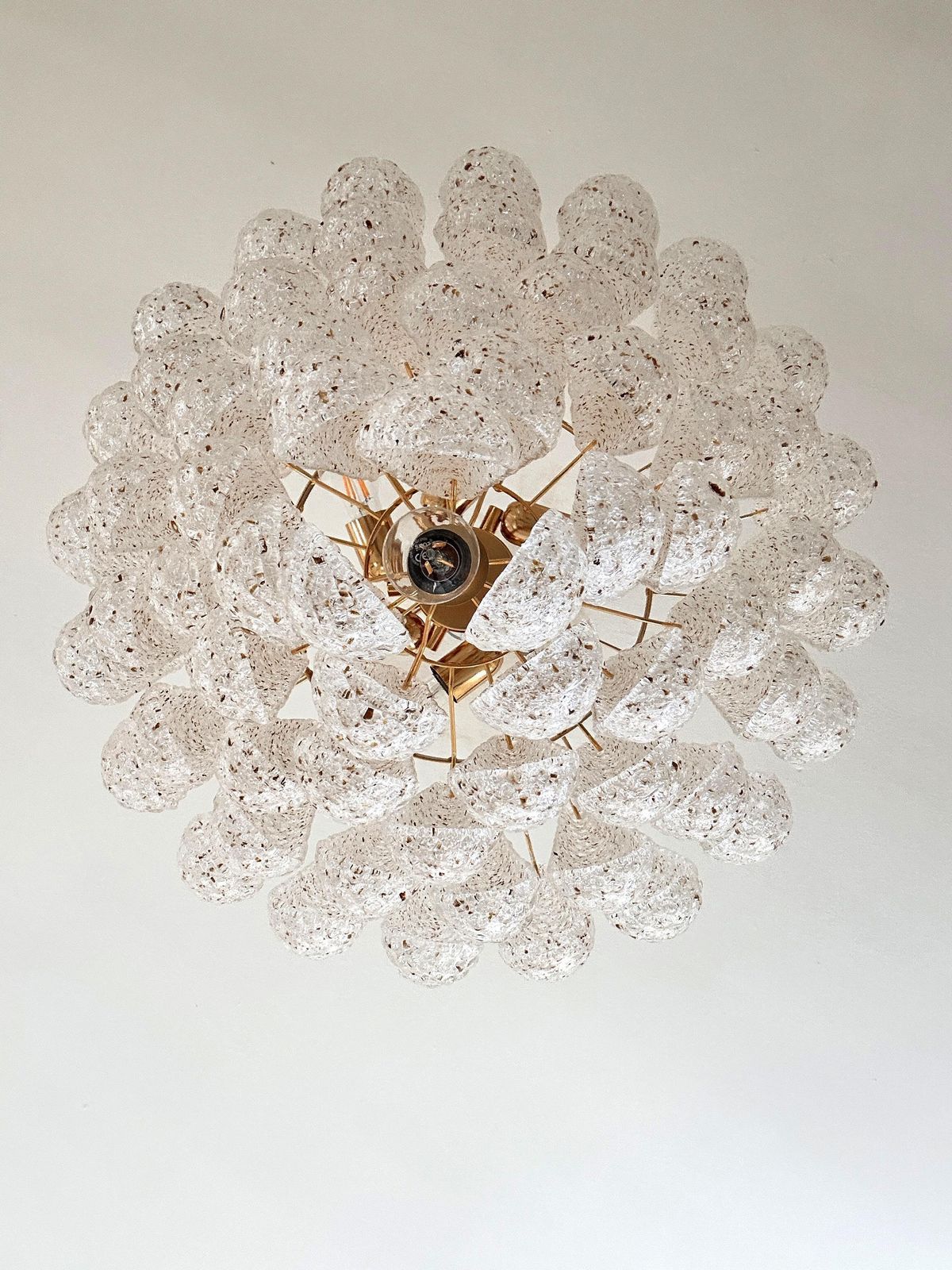 Mid Century Modern “Conchiglie” Murano Glass Gold Chandelier photo vintage
