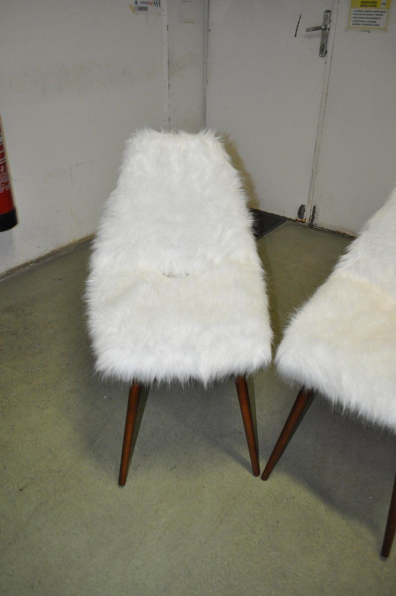 Set Of Erika Side Chairs By Judit Burián For Szkiv, 1959 photo vintage