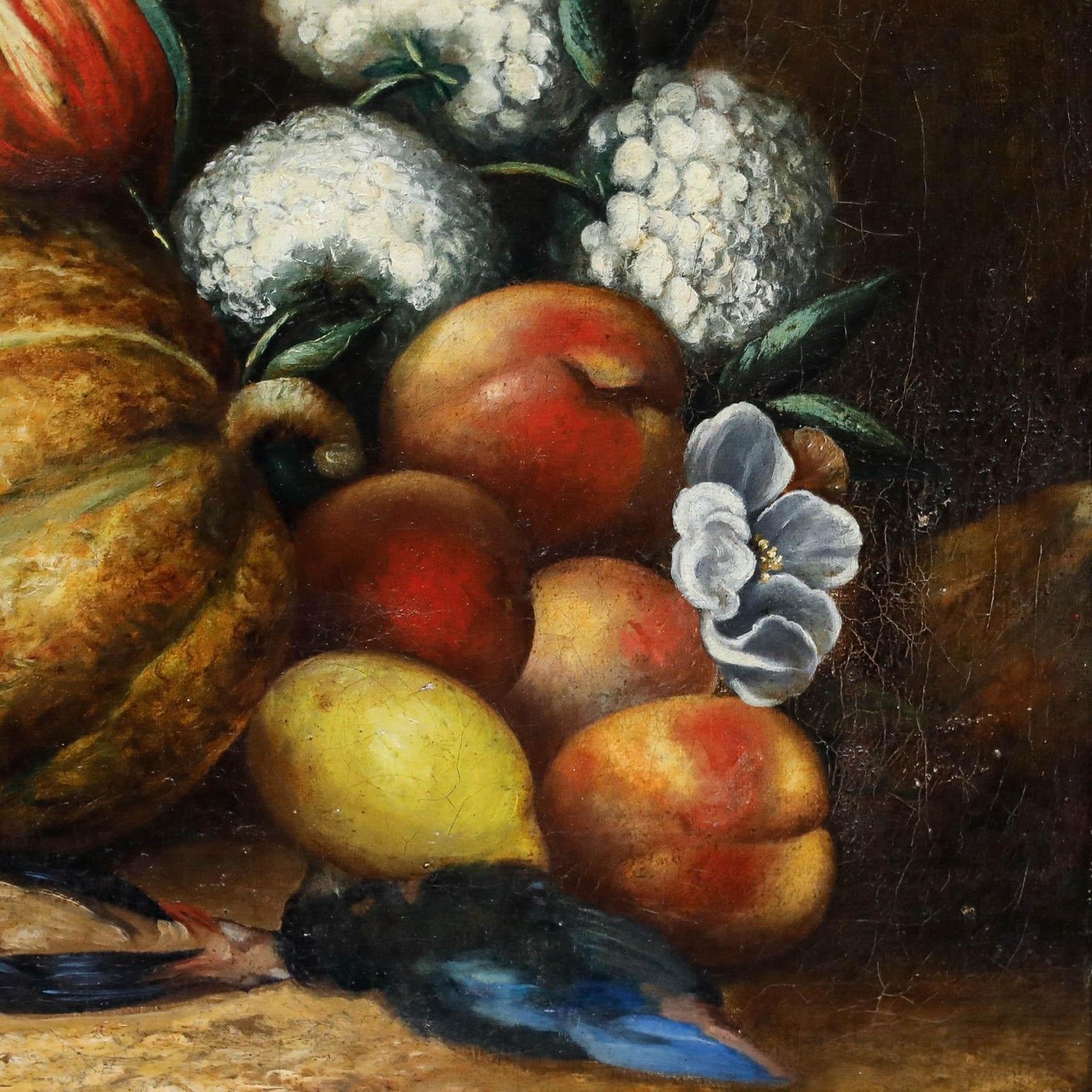 Framed 19th Century Oil Still Life With Kingfishers, Fruit & Flowers photo Art
