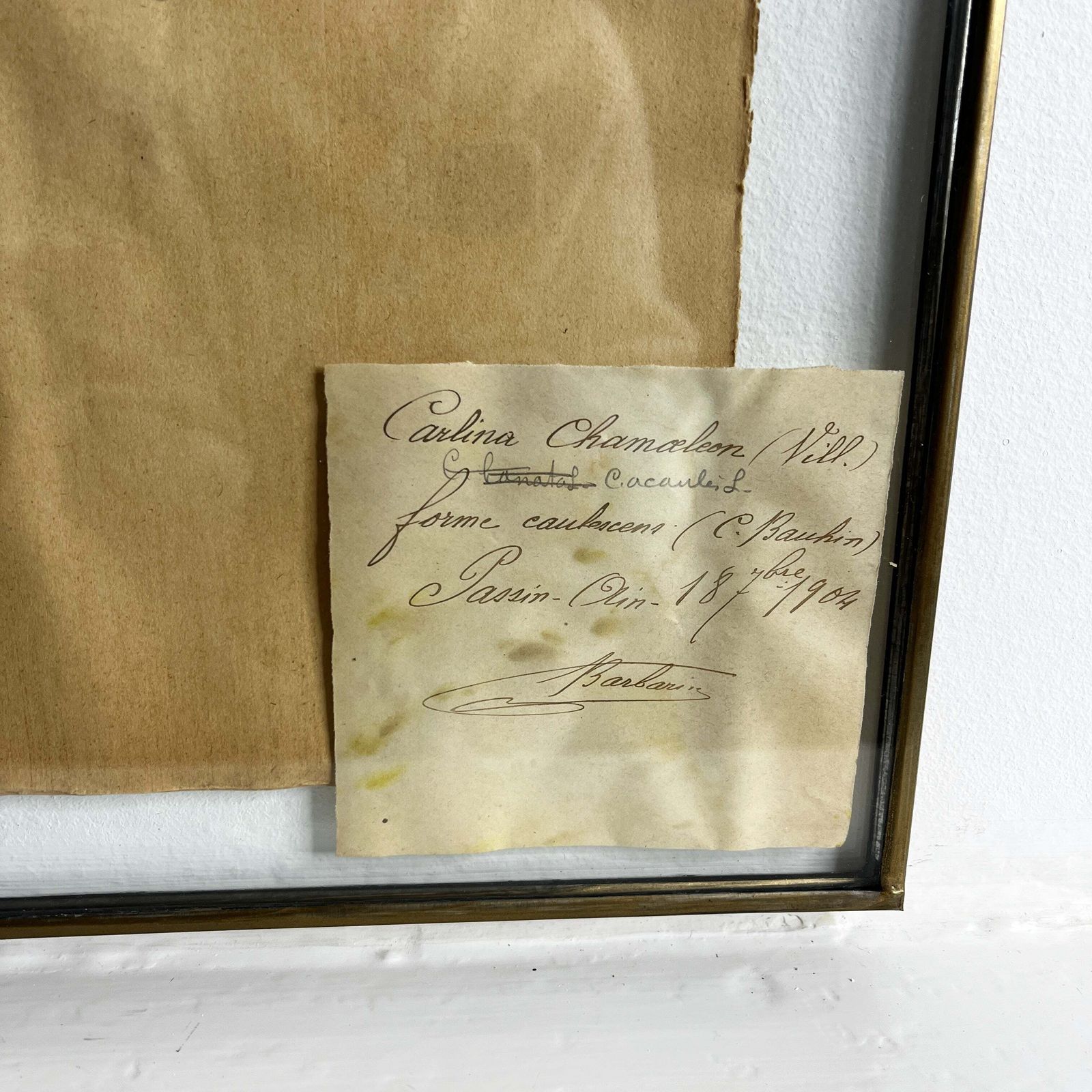 Antique French Herbiere Original In Nkuku Frame photo for sale