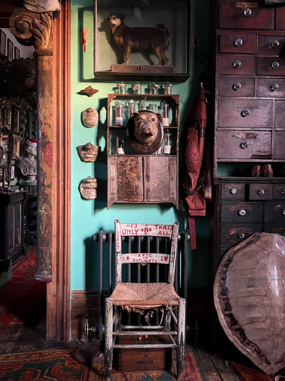 19th Century English Bulldog Taxidermy Head Mount Country House photo for sale