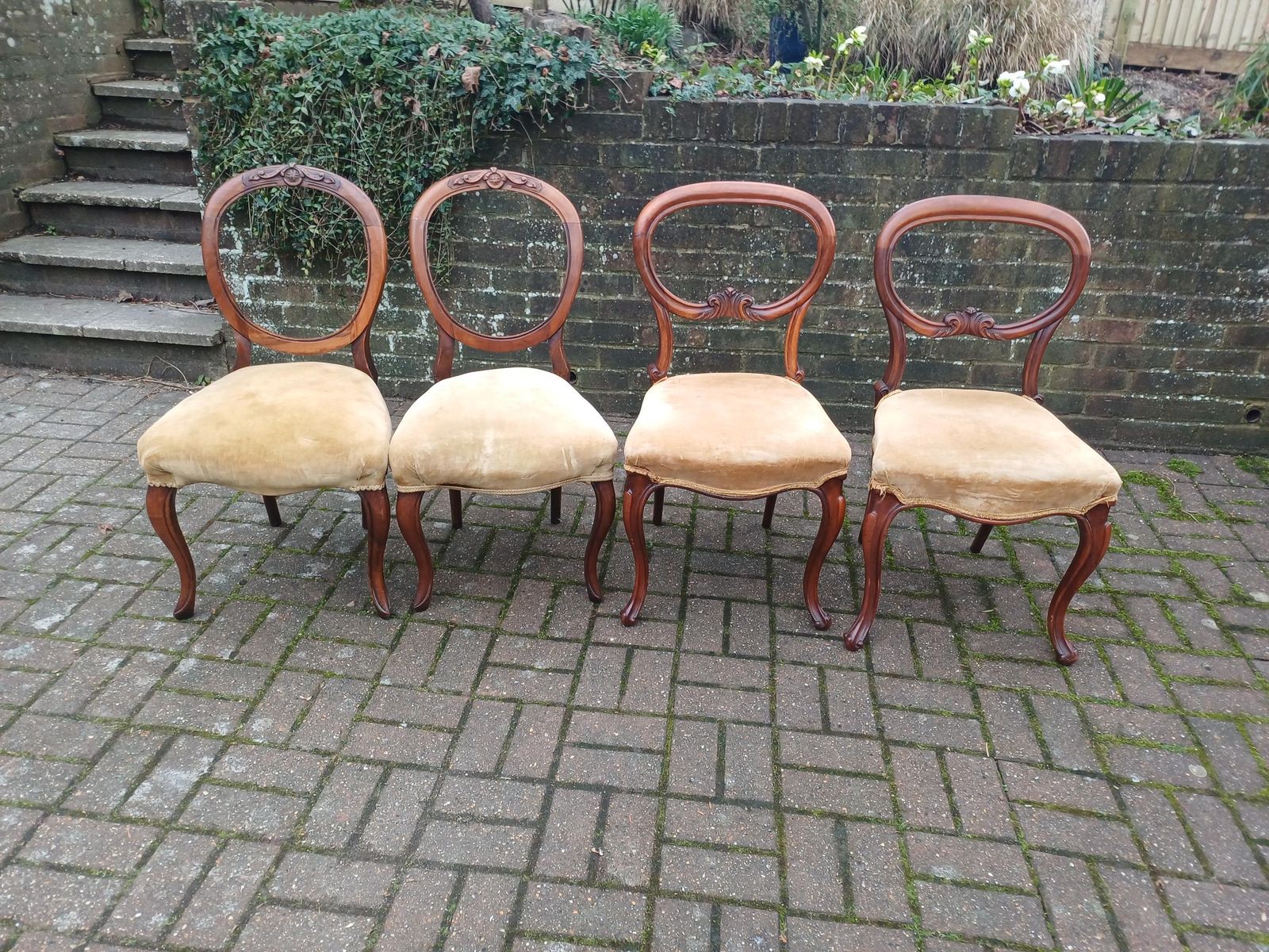 Set Of Four Antique Victorian Mahogany Balloon Back Dining Chairs High Quality Frames Vintage Original Velvet Upholstery