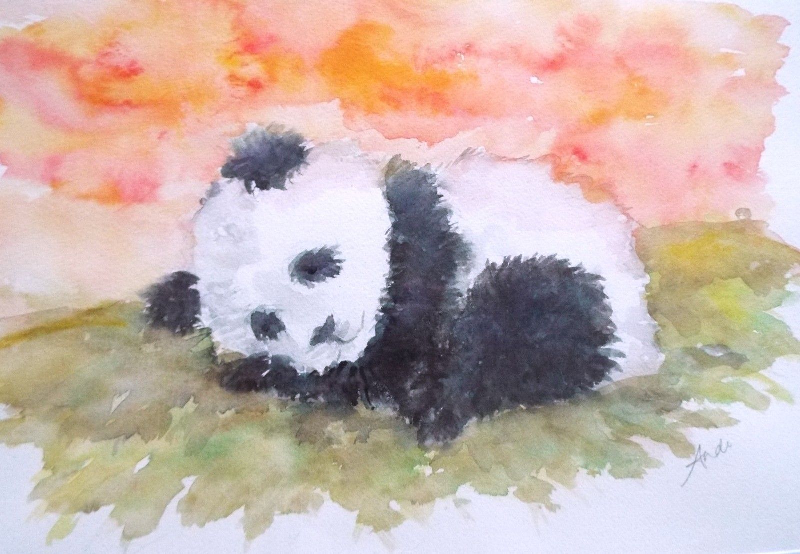 Sleeping Panda Sunset Illustration Original Watercolour Painting Andi J Lucas photo Art
