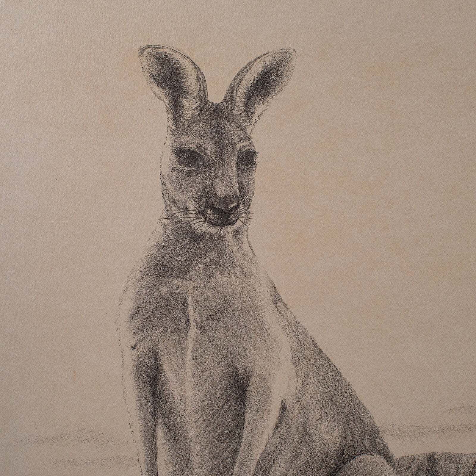 photo for sale Vintage Wildlife Picture Trio, Australian Interest, Framed Prints, Animal Art