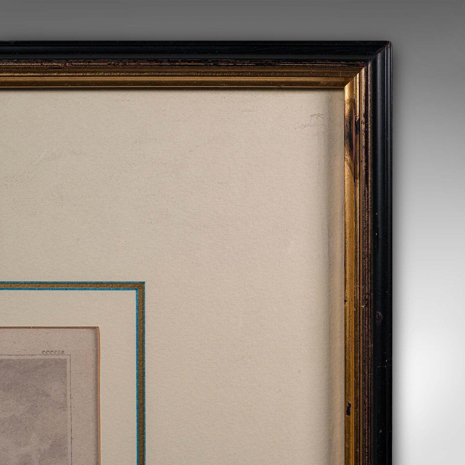 Antique Chelsea Hospital Picture, Framed Engraving, Art, Medical Interest, 1900 photo vintage