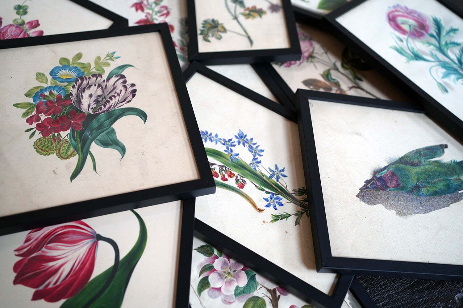 A Group Of Twelve Framed Late 19thc Botanical Watercolours C.1900