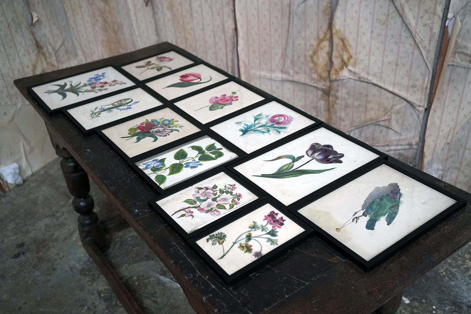 A Group Of Twelve Framed Late 19thc Botanical Watercolours C.1900 photo for sale