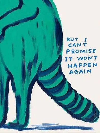 David Shrigley, I'm Sorry But I Can't Promise It Won't Happen Again, 2021 photo for sale