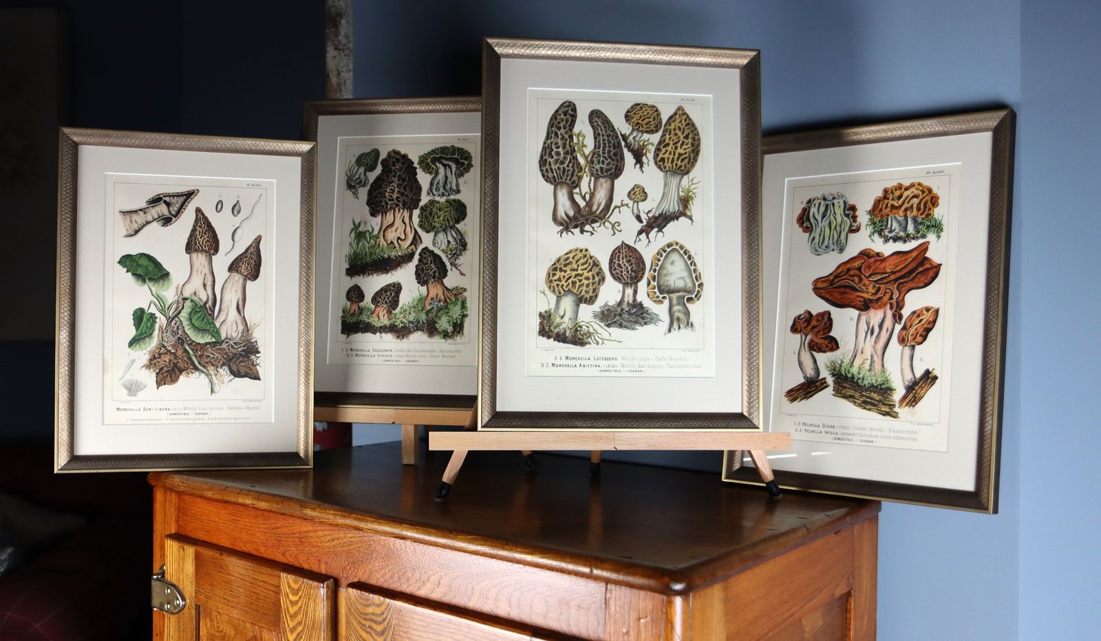 Set Of Four Fritz Leuba Mushrooom Lithographs