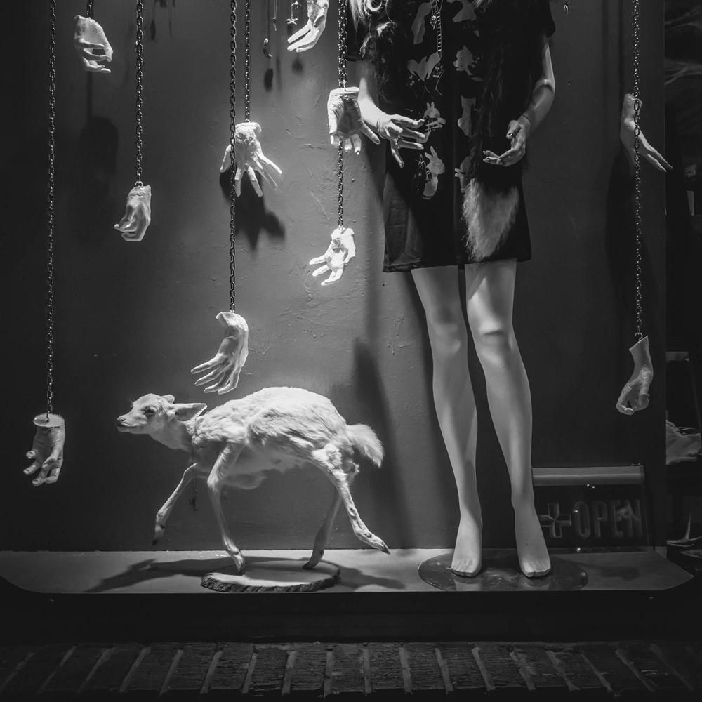 Morgan Silk Williamsburg Window, Brooklyn   Surrealism Window Photography White Dog Hands 2014