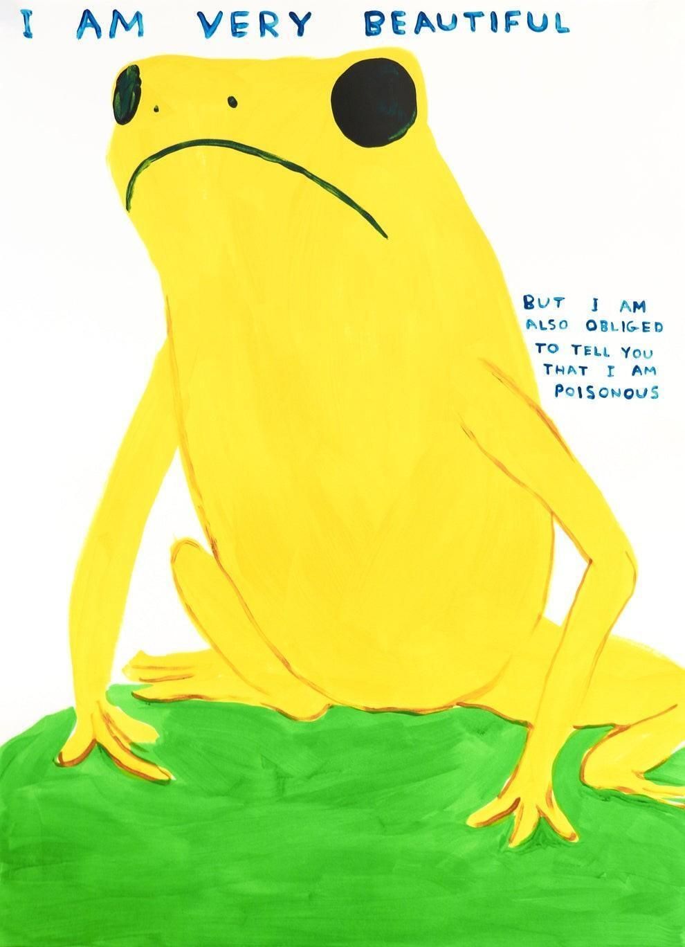 David Shrigley I Am Very Beautiful, But I Am Also Obliged To Tell You I Am Poisonous 2025