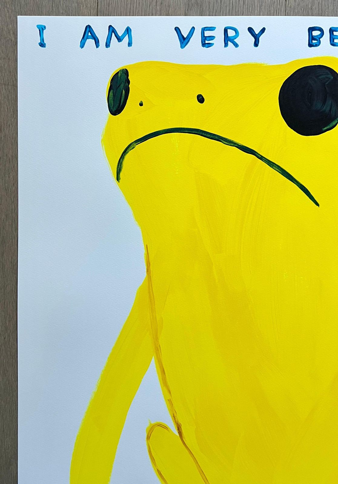 David Shrigley I Am Very Beautiful, But I Am Also Obliged To Tell You I Am Poisonous 2025 photo 3500.0