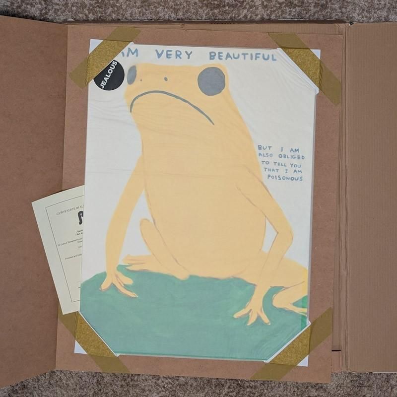 David Shrigley I Am Very Beautiful, But I Am Also Obliged To Tell You I Am Poisonous 2025 photo vintage