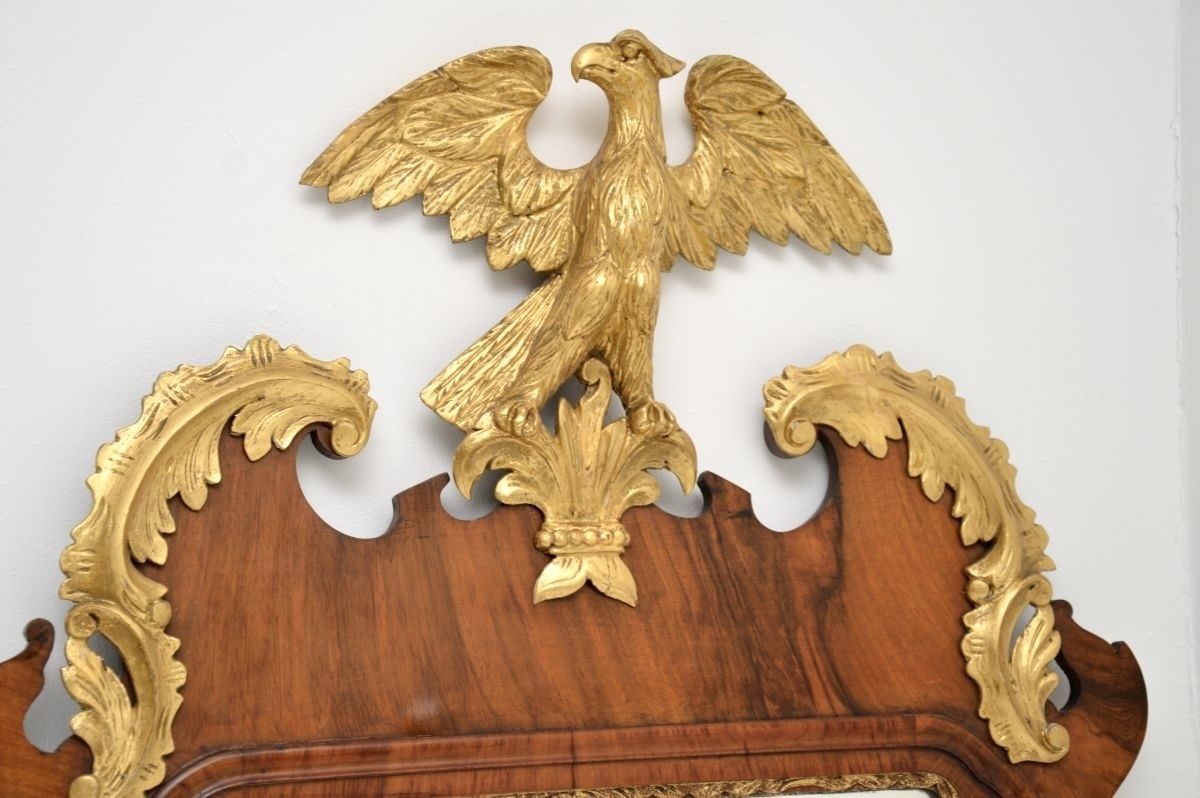 Large Antique Georgian Period Mahogany Parcel Gilt Mirror photo Home Decor