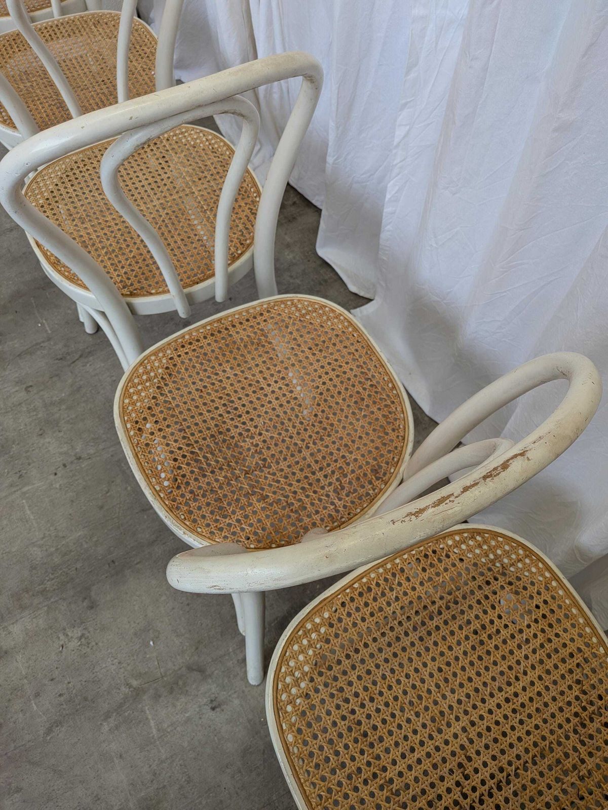 photo buy Set Of 6 Vintage Thonet Style Dining Chairs: White Wood & Cane Seat