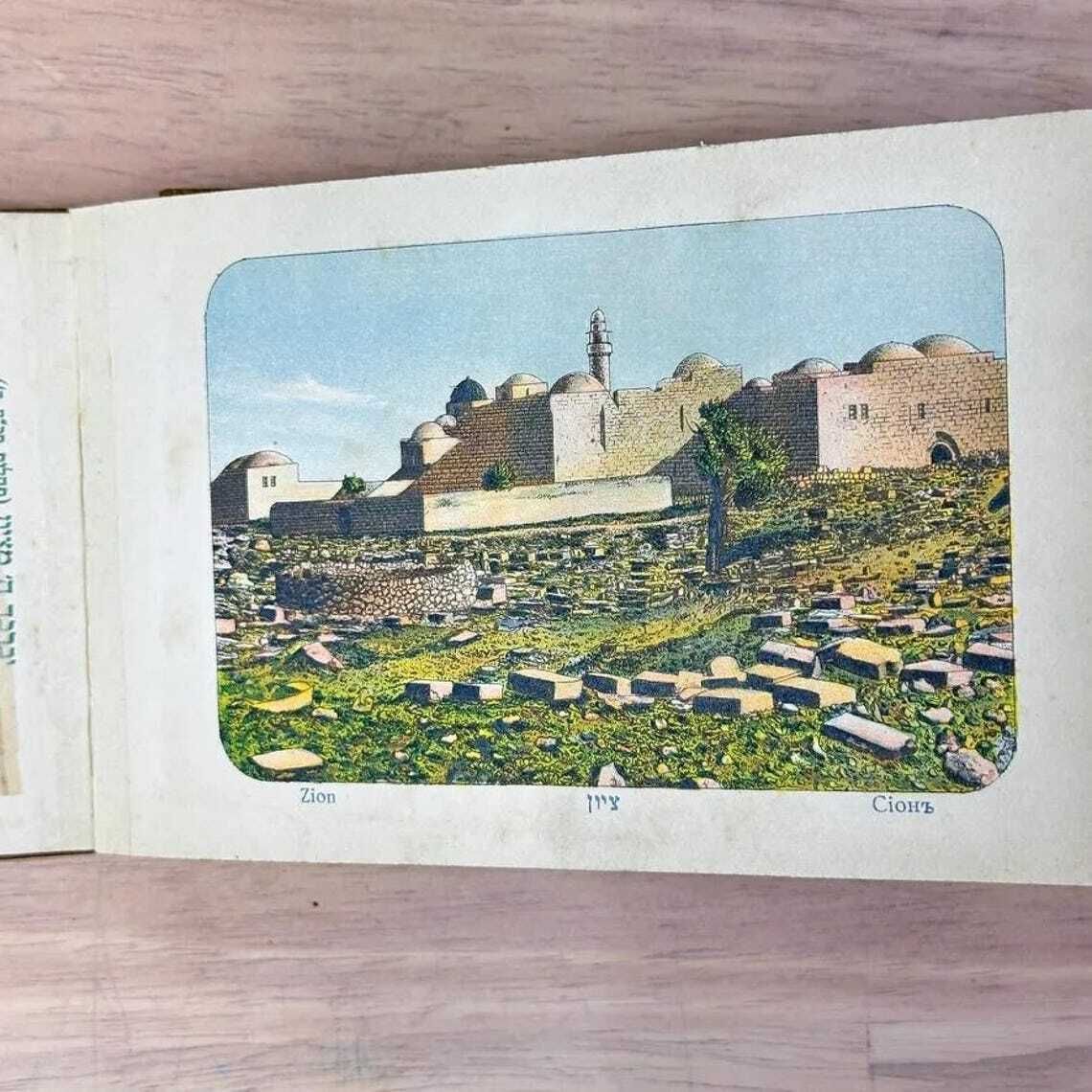 Antique Olive Wood Holy Land Flower Book C1910 Jerusalem Herbarium Views Judaica photo 139.0