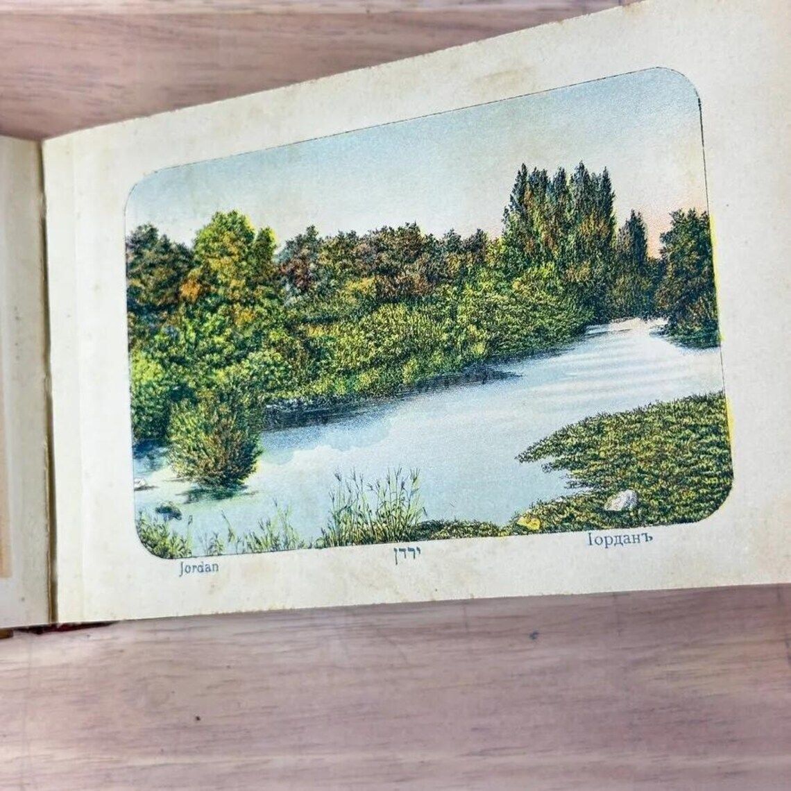 Antique Olive Wood Holy Land Flower Book C1910 Jerusalem Herbarium Views Judaica photo vintage