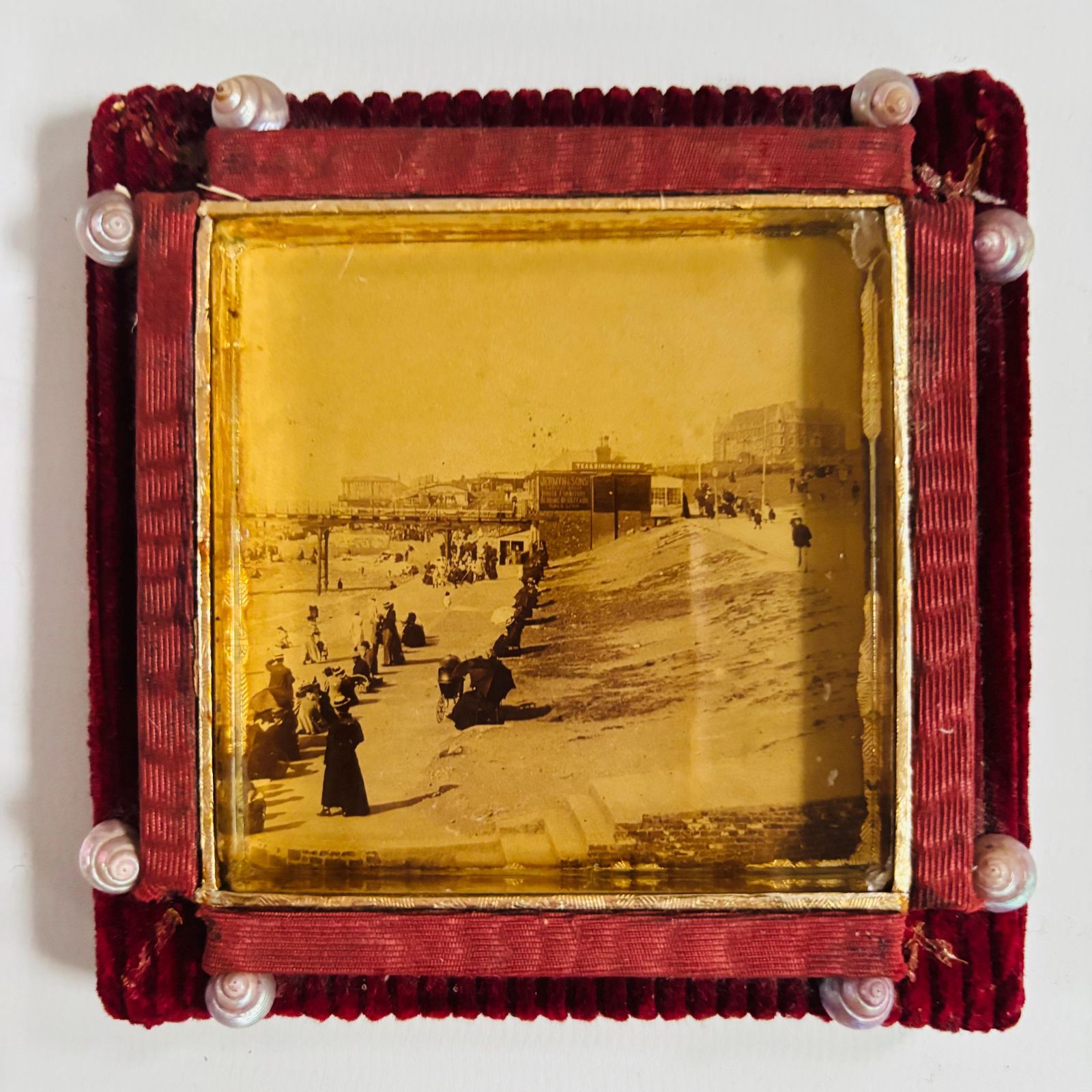 Antique Victorian Seaside Photo: Gold Gilt Frame, Velvet & Seashells