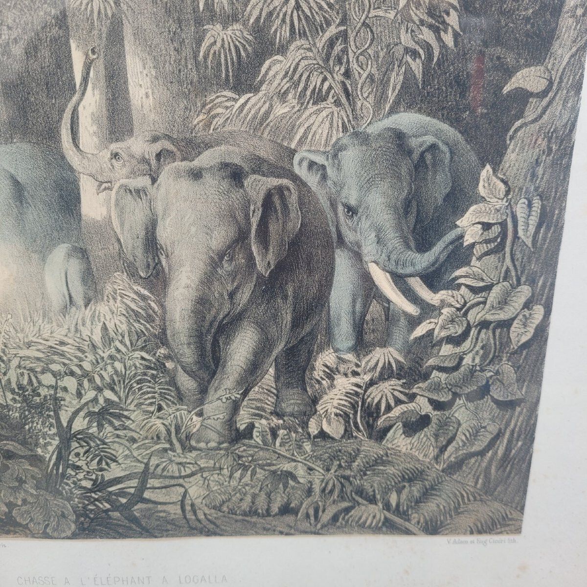 Set Of 7 Framed Engravings, Hunting In Asia, 19th Century photo 2200.0