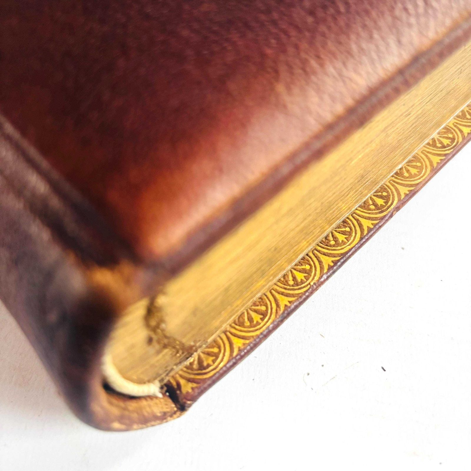 Antique Victorian Photo Album, Marcus Ward And Co, Pottery And Portraits photo for sale