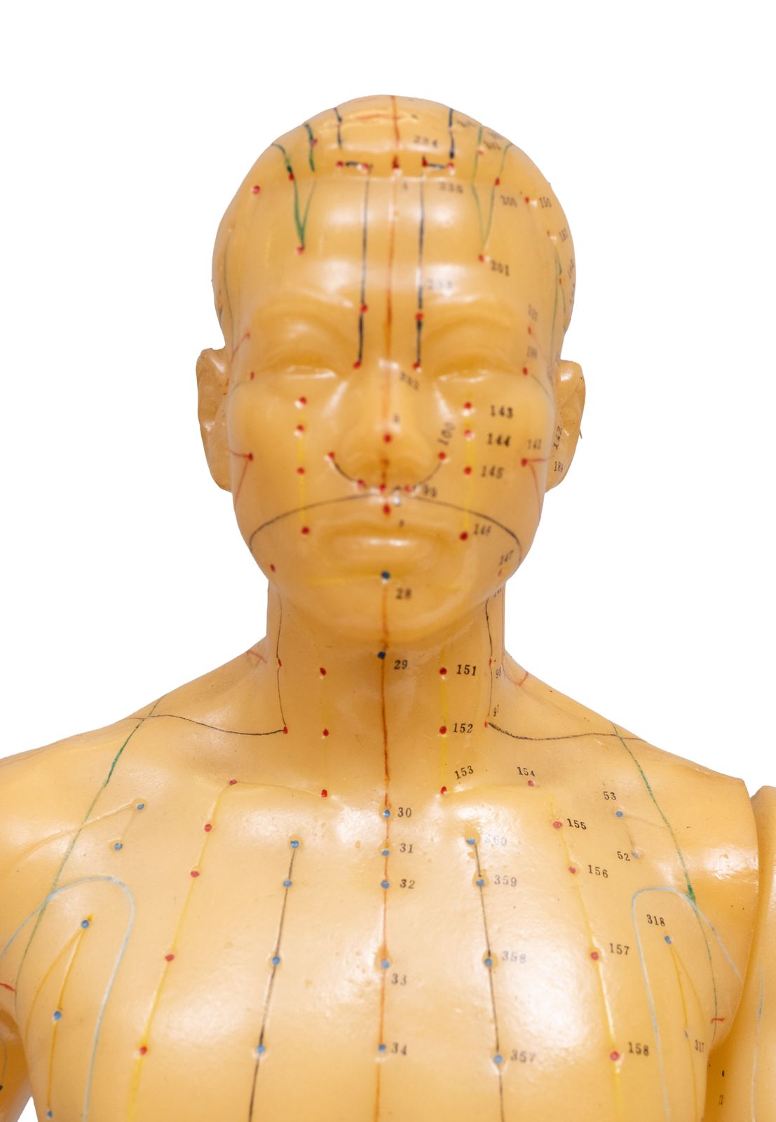 Acupunctuurmodel Van Het Menselijk Lichaam In Rubber, Jaren 1950, China photo for sale