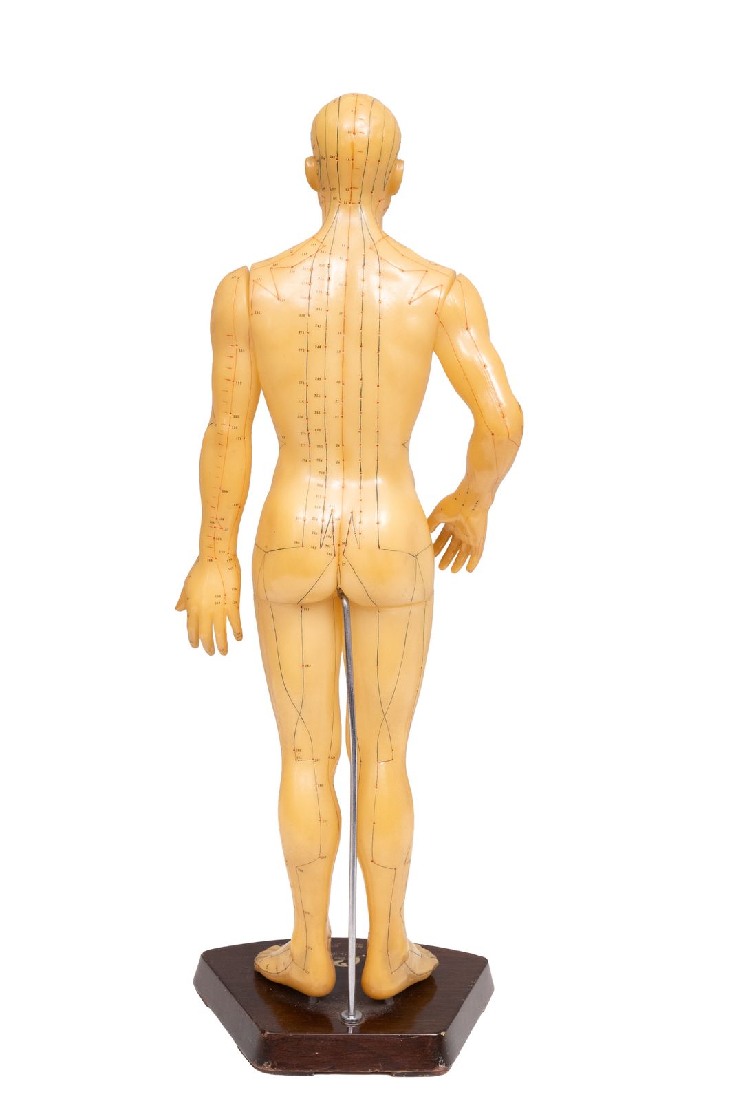 Acupunctuurmodel Van Het Menselijk Lichaam In Rubber, Jaren 1950, China photo buy