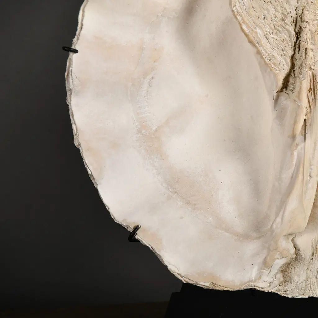Pair Of Giant Clam Lamps In Composite Material With Artisanal Patina photo for sale