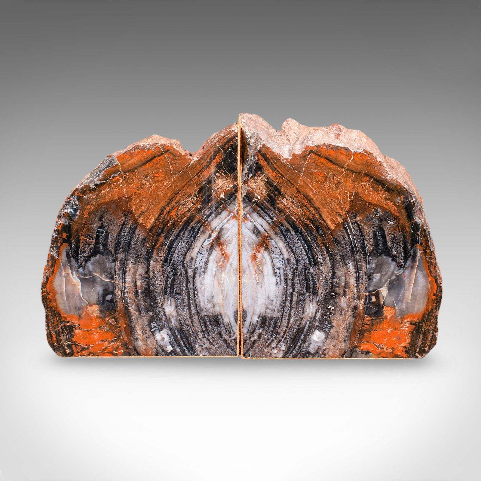 Pair Of Prehistoric Large Volume Bookends, Petrified Wood, Book Rest, Geological photo vinterior