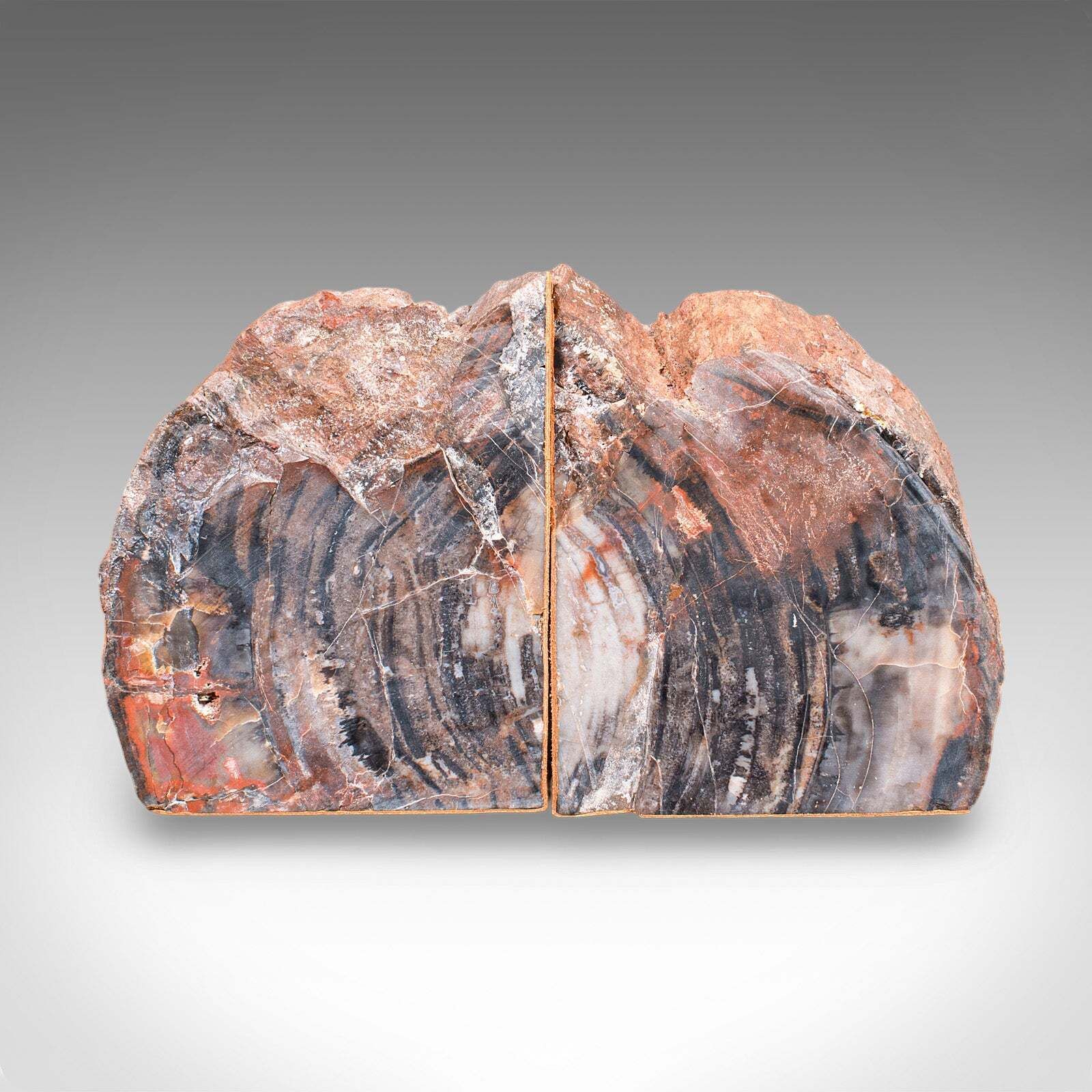 Pair Of Prehistoric Large Volume Bookends, Petrified Wood, Book Rest, Geological photo buy