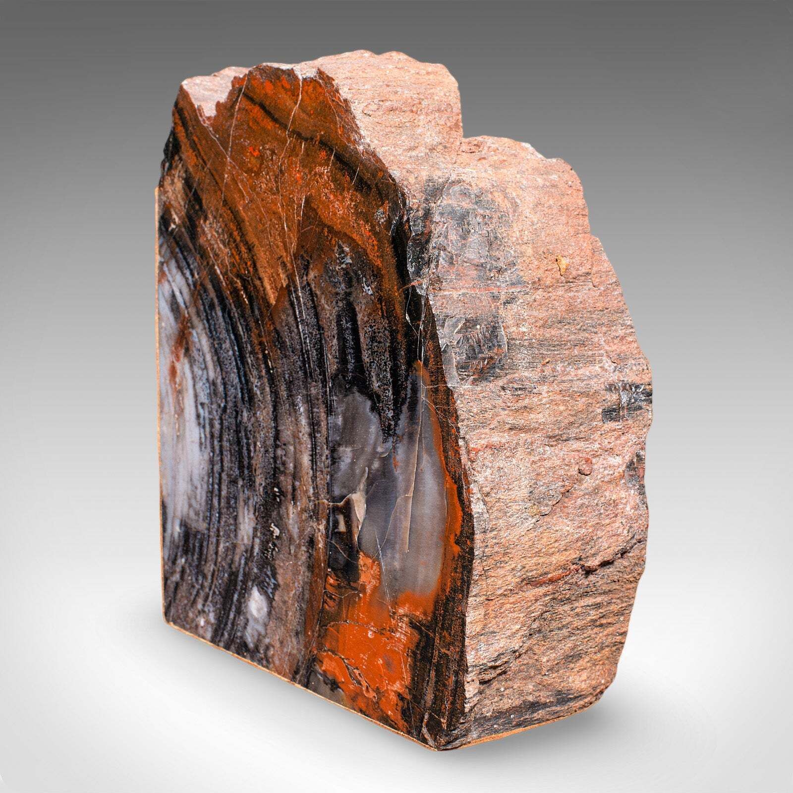 photo for sale Pair Of Prehistoric Large Volume Bookends, Petrified Wood, Book Rest, Geological
