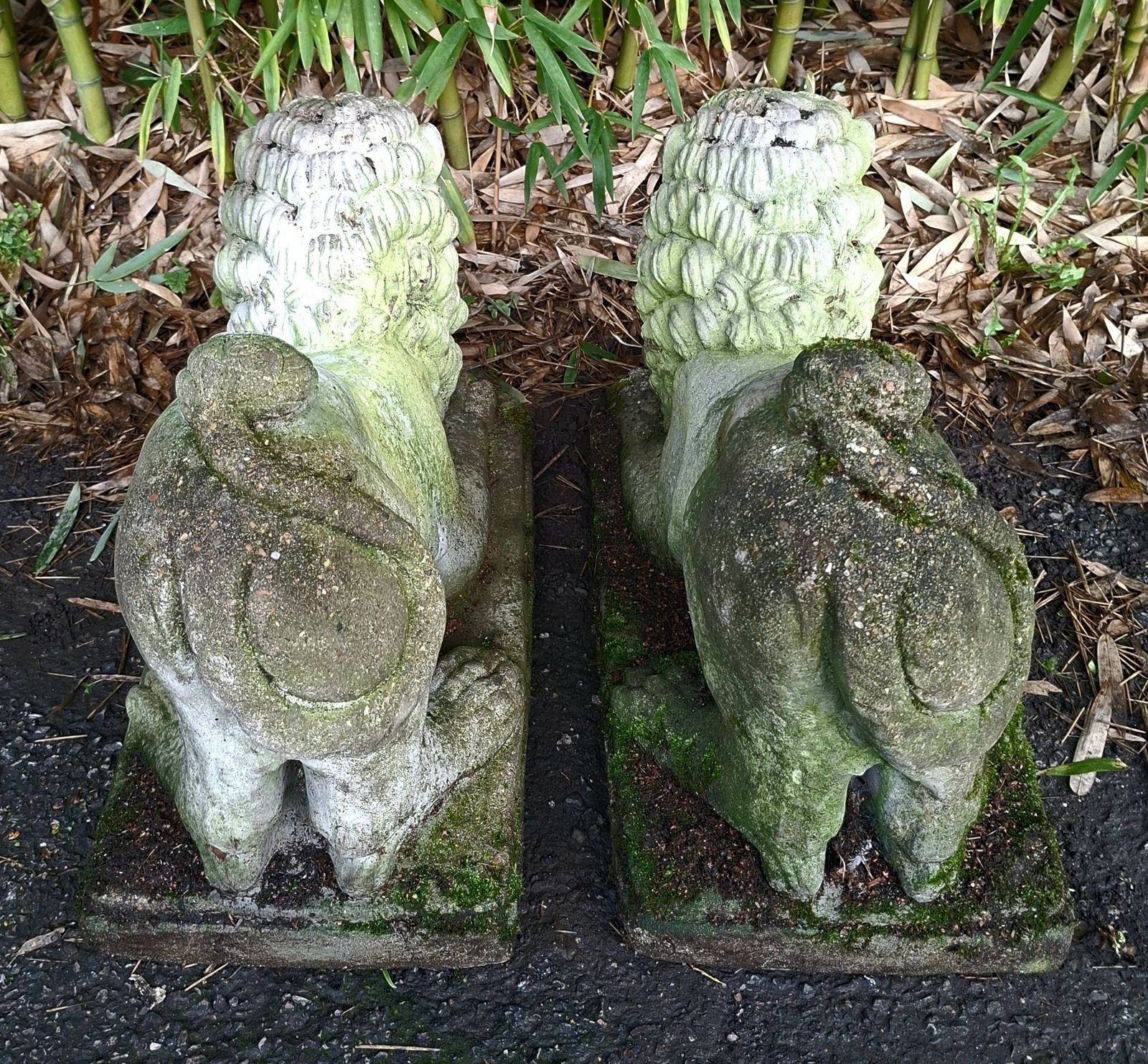 625.0 Pair Of Antique Stone Recumbent Guardian Lions photo