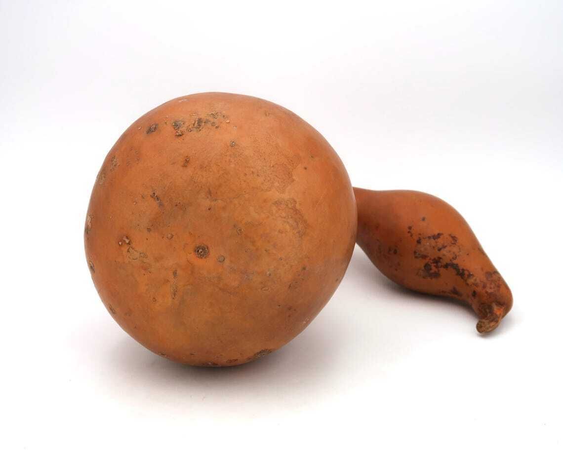 photo furniture Large French Dried Gourd 1950s Home Decor Wood  Country Rustic Farm Nature Natural Folk Art Farmhouse Giant Vegetable