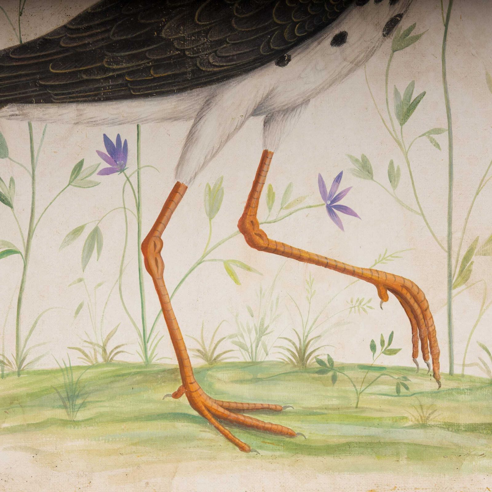 Big Birds photo Art