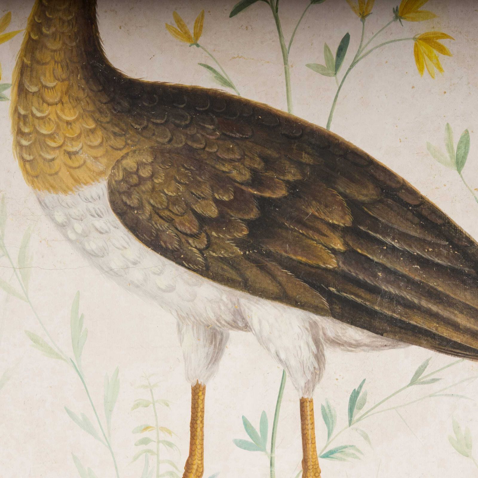 photo furniture Big Birds