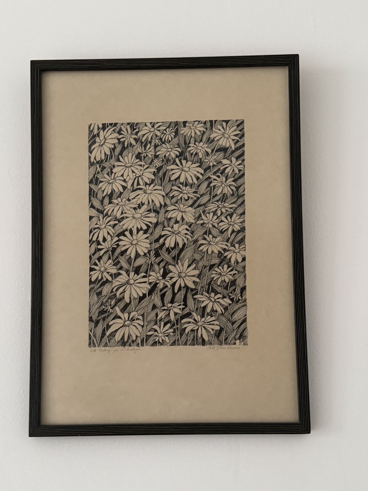 Till Valborg På 60 årsdagen   Daisies, Original Ink Drawing Carl  Johan Damm photo 95.0