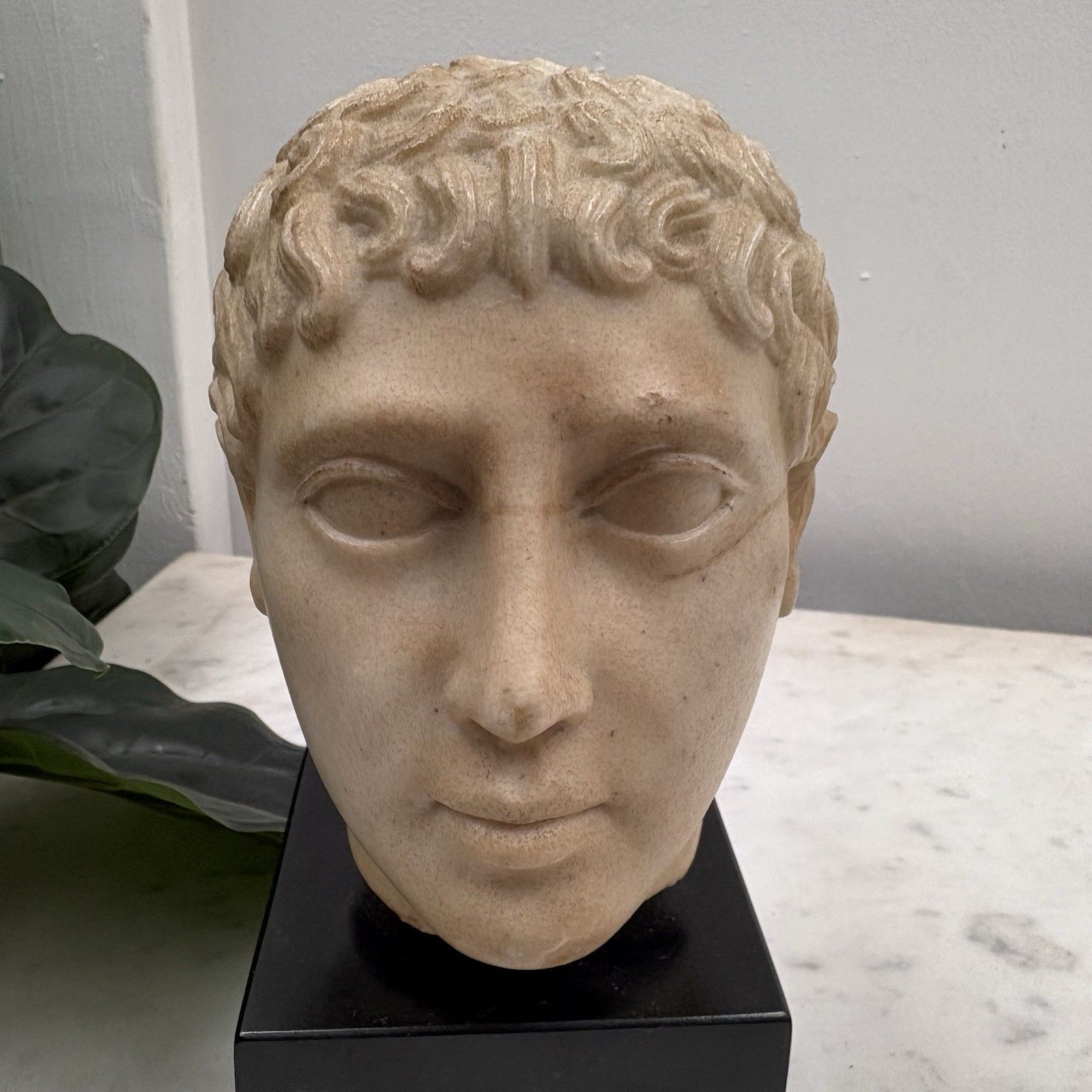 Rare Brooklyn Museum / Mma Marble Bust Statue Of A Hellenistic Young Youth photo buy